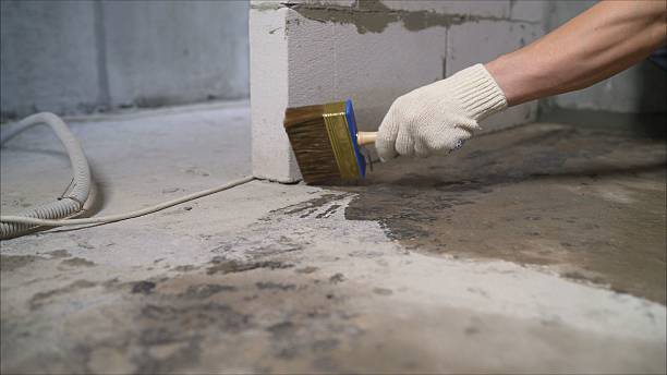 SJ Waterproofing Pros Emergency Waterproofing coverage map for Webberville, MI and surrounding area